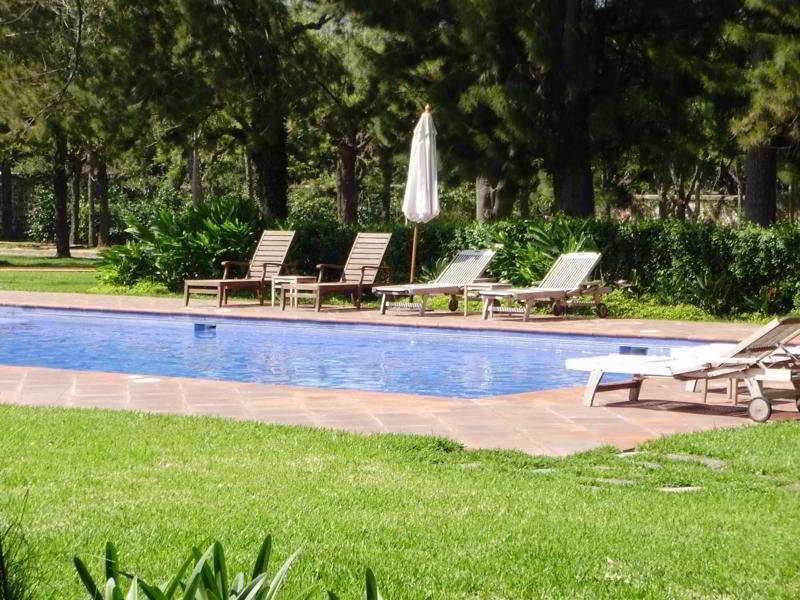 Filadelfia Coffee Resort & Tour Jocotenango Zewnętrze zdjęcie