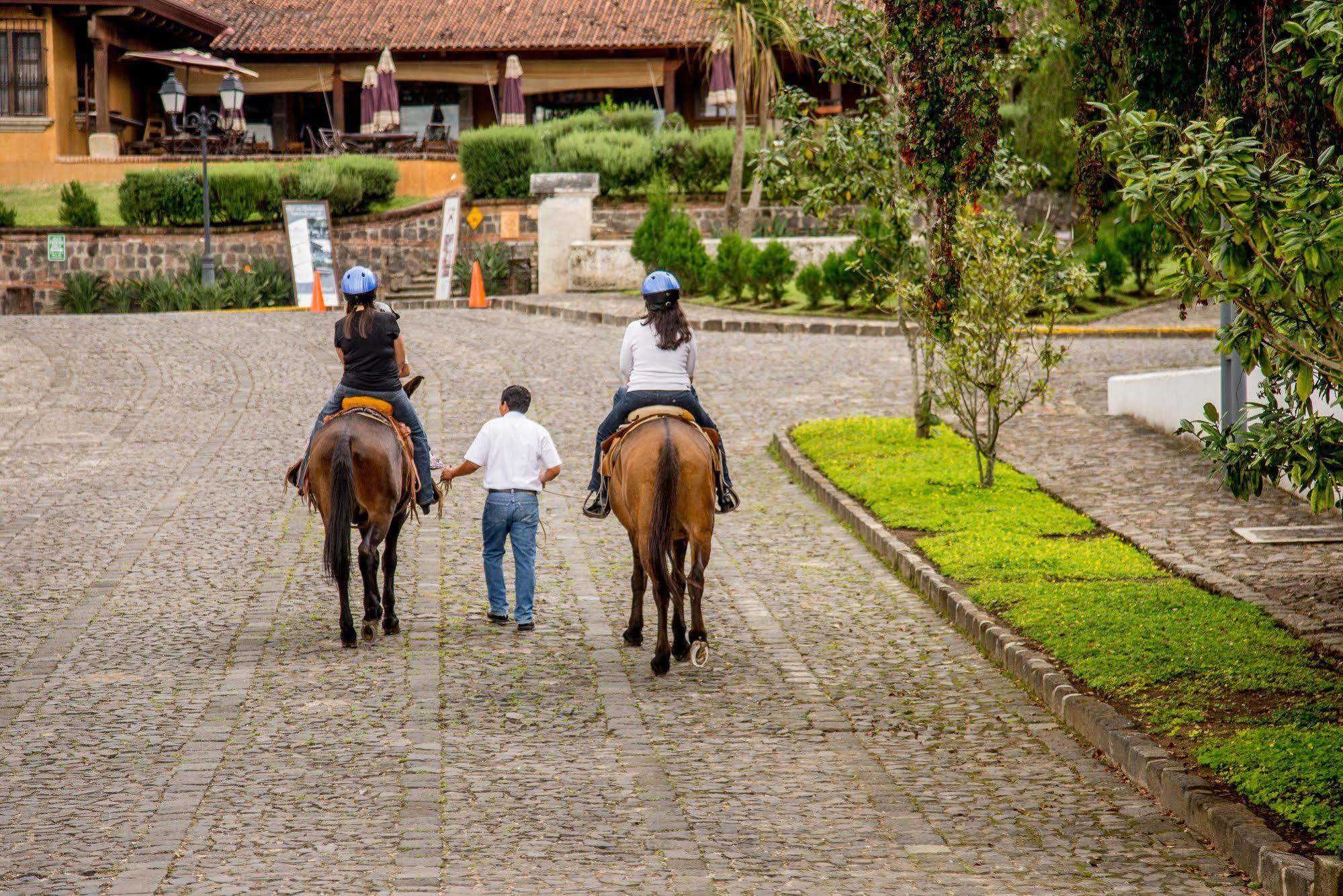 Filadelfia Coffee Resort & Tour Jocotenango Zewnętrze zdjęcie