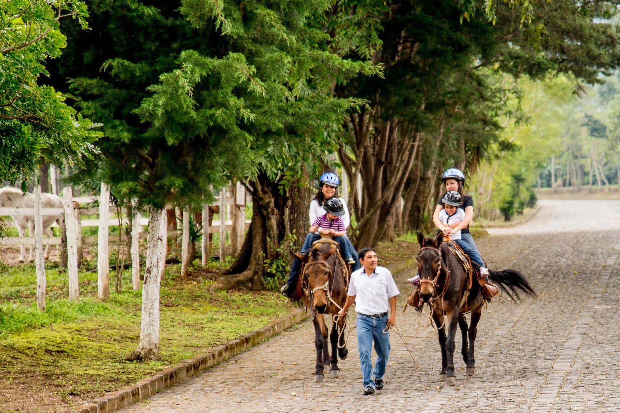 Filadelfia Coffee Resort & Tour Jocotenango Zewnętrze zdjęcie